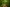 trail
