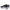Sports Trainers for Women Nike  CITY REP TR DA1351 002 Black